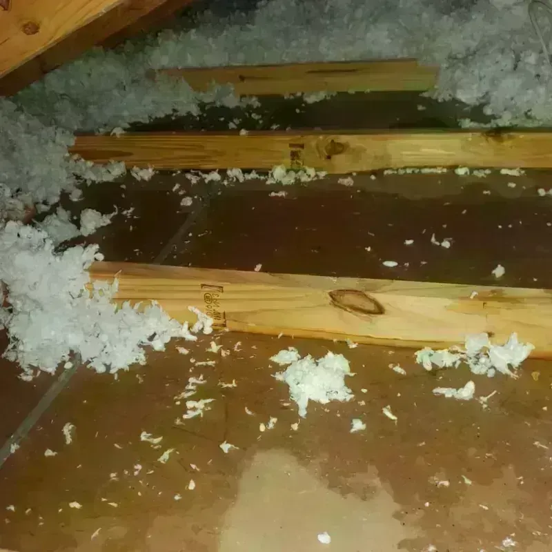 Attic Water Damage in Carter Lake, IA