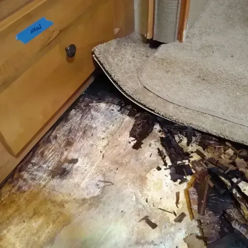 Wood Floor Water Damage in Carter Lake, IA